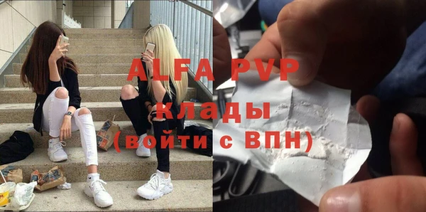 PSILOCYBIN Балахна
