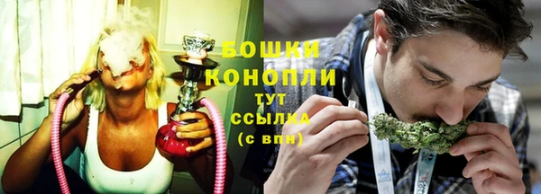 PSILOCYBIN Балахна